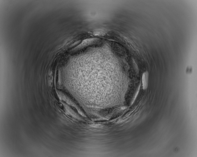 X0000099561443200806061529