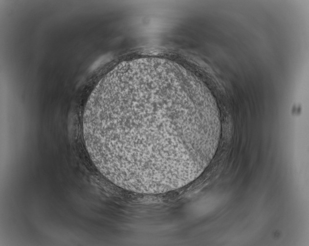 X0000099561446200806061529