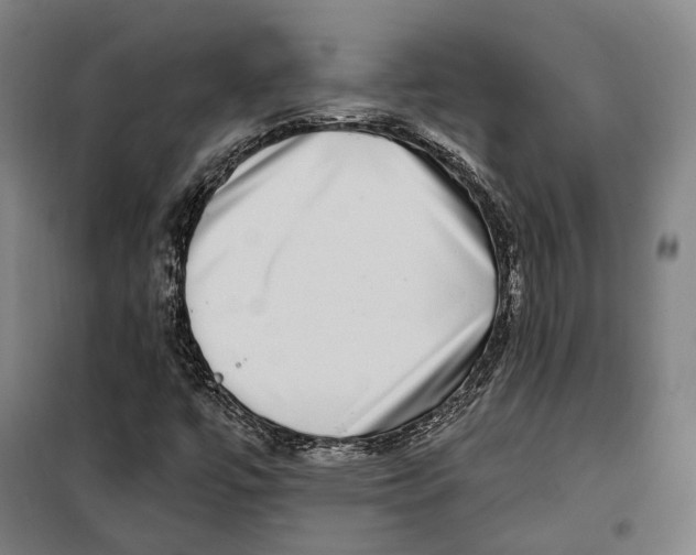 X0000099561447200806061529