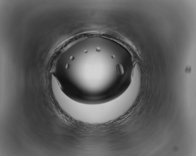 X0000099561448200806061529