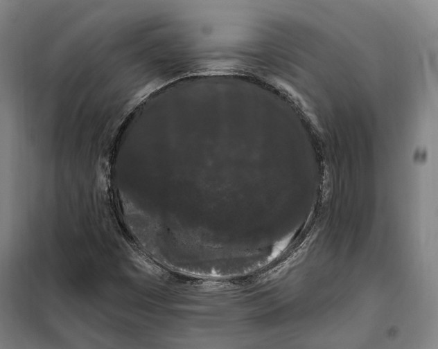 X0000099561449200806061529