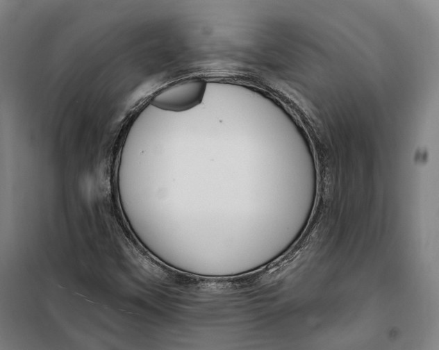 X0000099561451200806061529