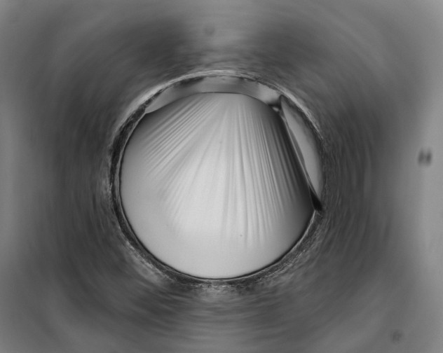 X0000099561452200806061529