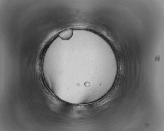 X0000099561454200806061529