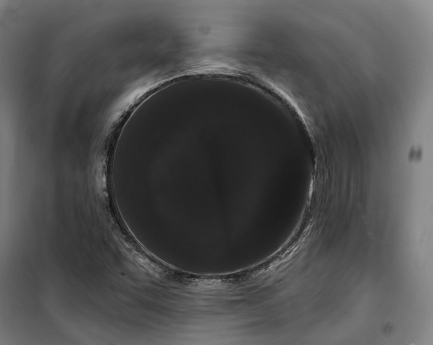 X0000099561455200806061529