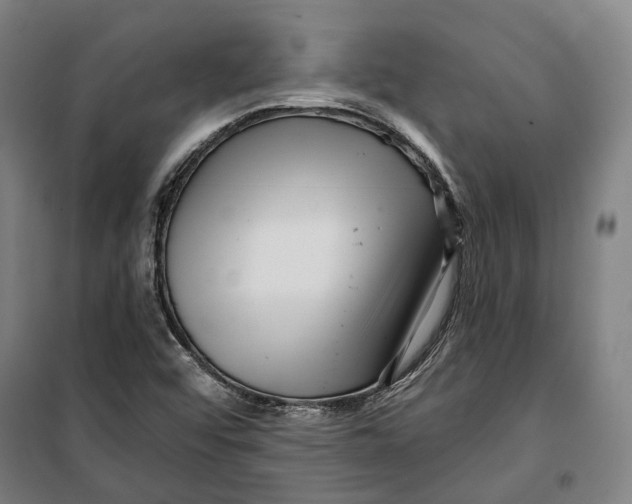 X0000099561456200806061529