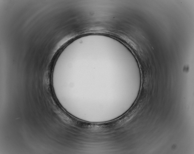 X0000099561458200806061529