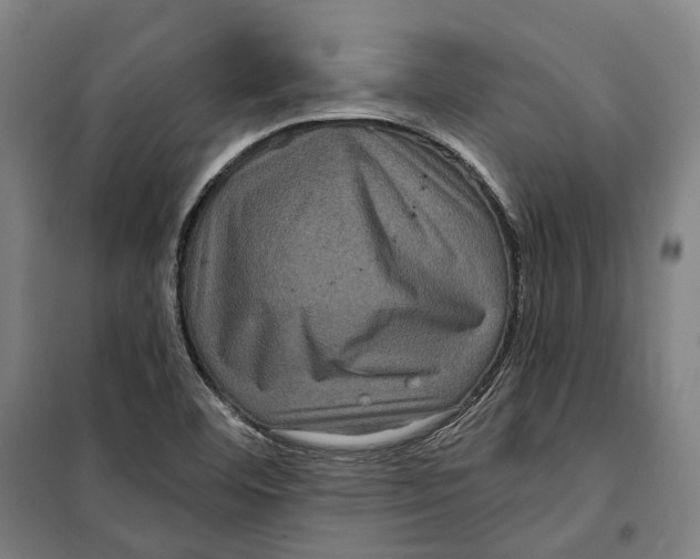 X0000099561460200806061529