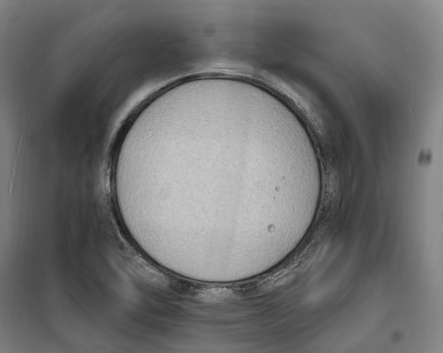 X0000099561462200806061529