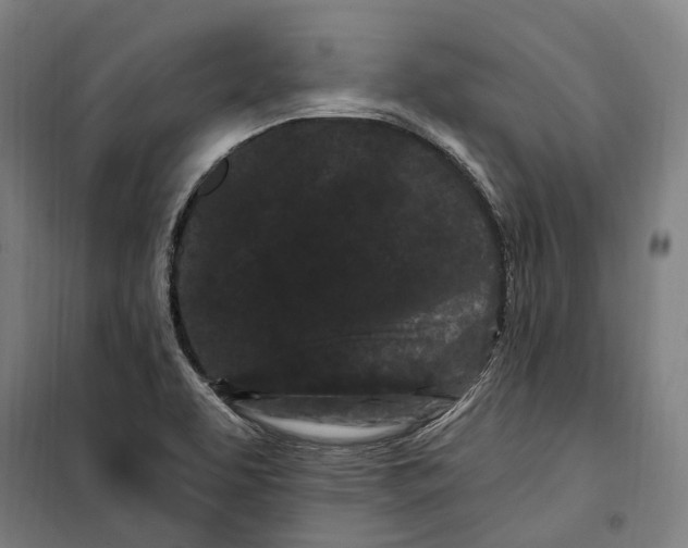 X0000099561463200806061529