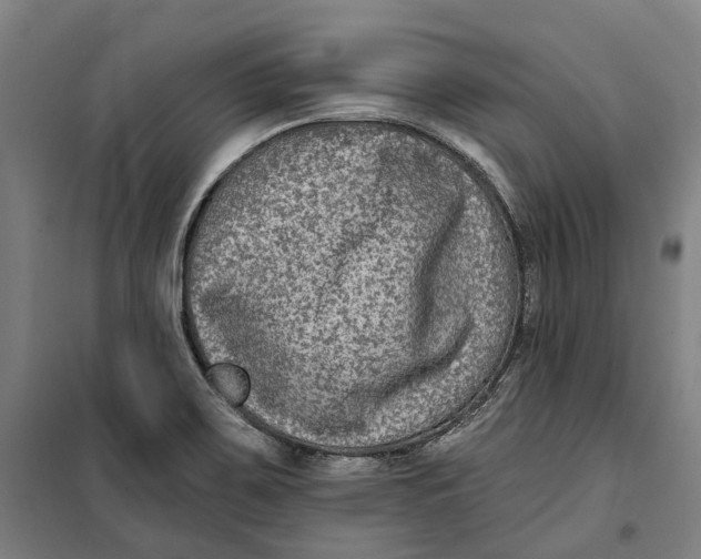 X0000099561467200806061529