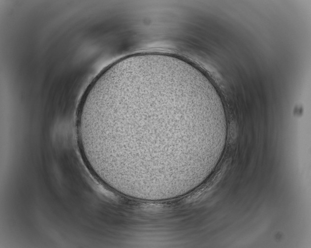 X0000099561470200806061529