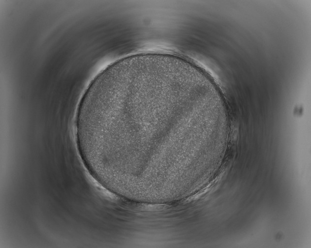 X0000099561471200806061529