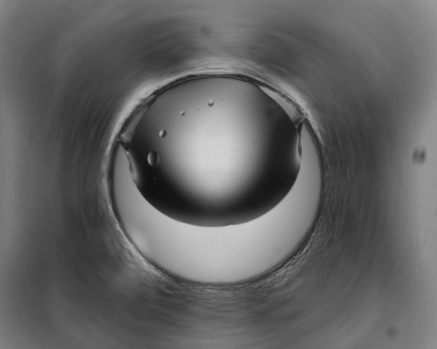 X0000099561472200806061529