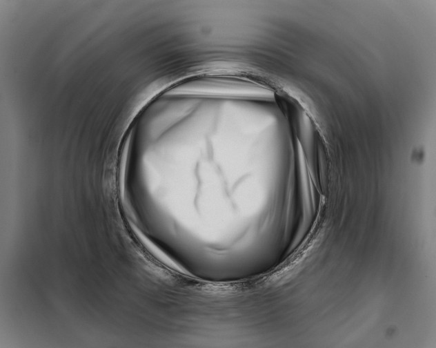 X0000099561473200806061529