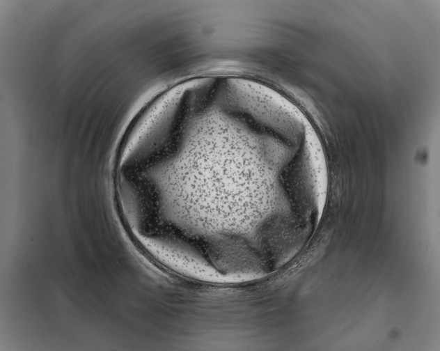 X0000099561475200806061529