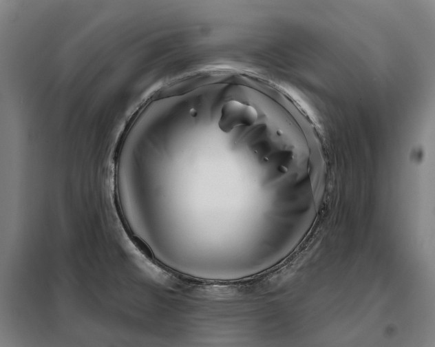 X0000099561476200806061528