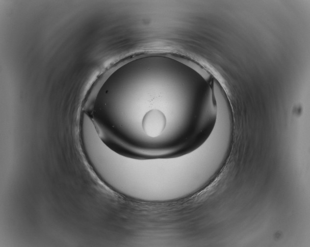 X0000099561477200806061528