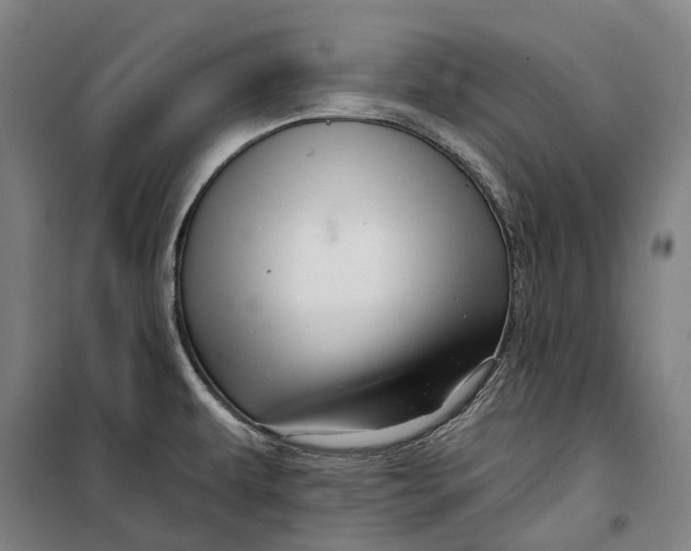 X0000099561479200806061528