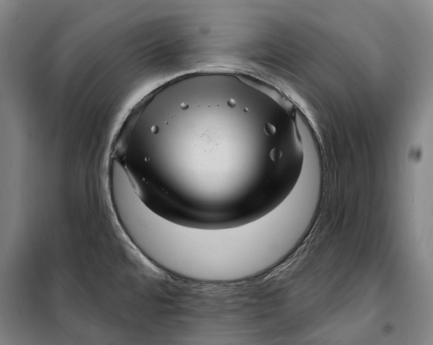 X0000099561480200806061528