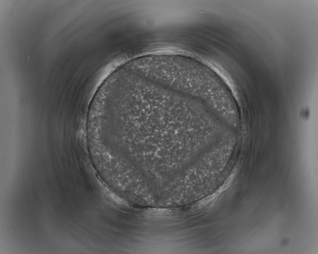 X0000099561481200806061528