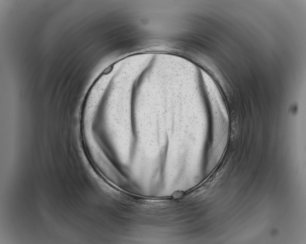 X0000099561483200806061528