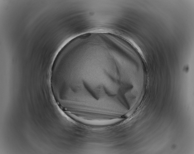 X0000099561484200806061528