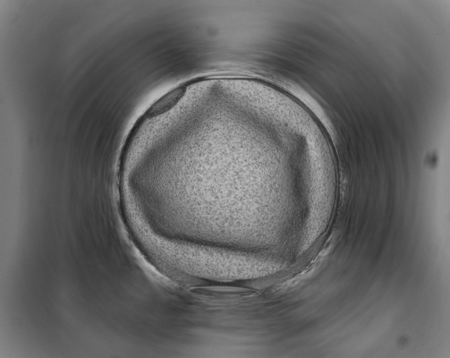 X0000099561485200806061528