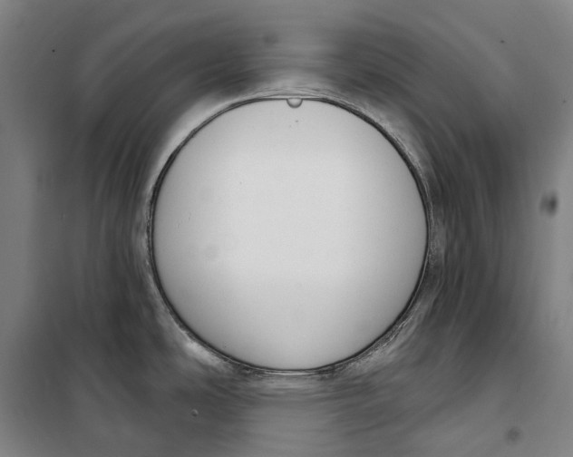 X0000099561486200806061528