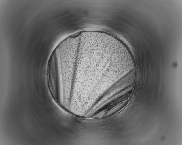 X0000099561487200806061528