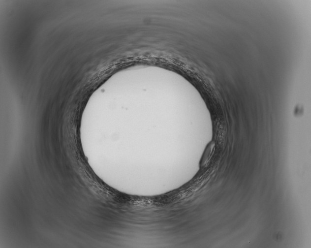 X0000099561489200806061527