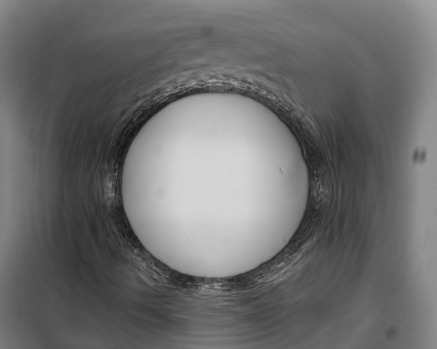 X0000099561490200806061527