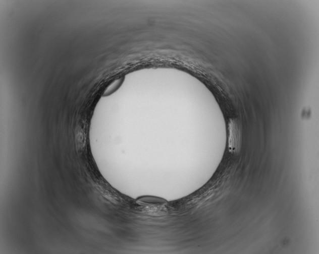 X0000099561491200806061527