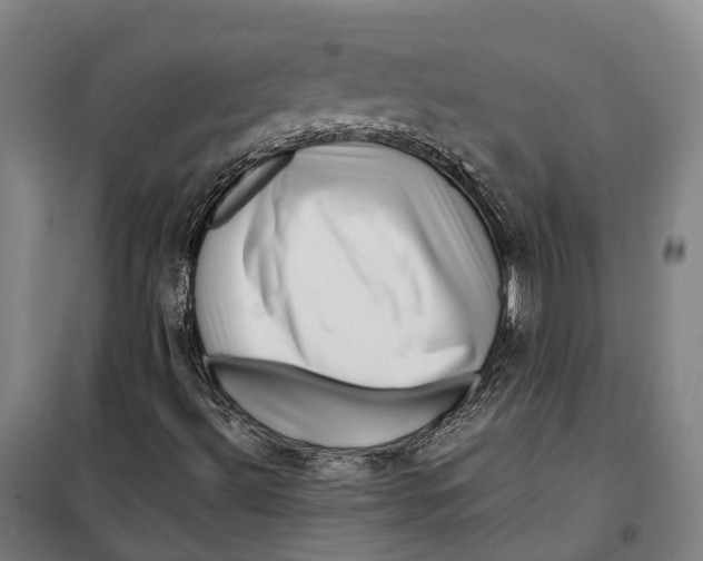 X0000099561492200806061528