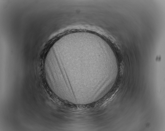 X0000099561494200806061528