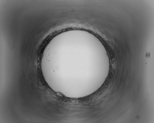 X0000099561495200806061528