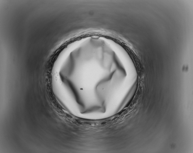 X0000099561496200806061528