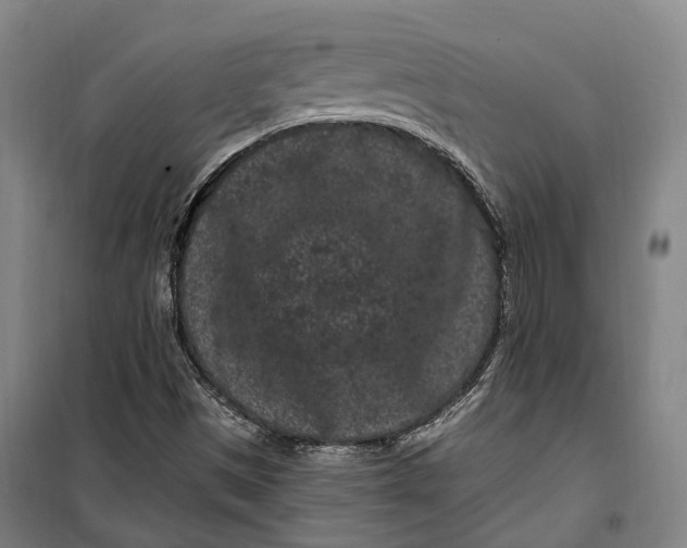 X0000099561497200806061528