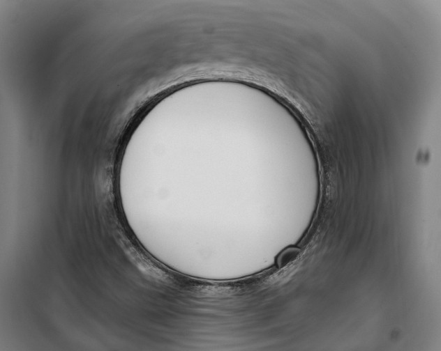 X0000099561499200806061528