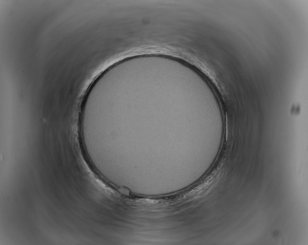 X0000099561500200806061528