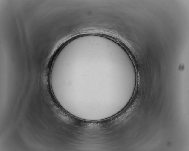 X0000099561501200806061528