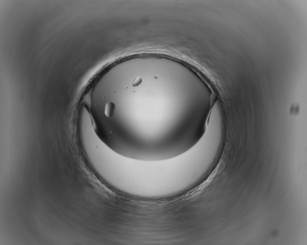 X0000099561502200806061528