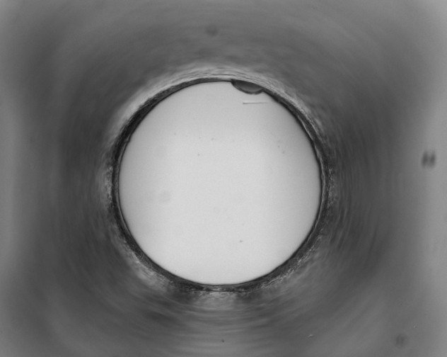 X0000099561503200806061528