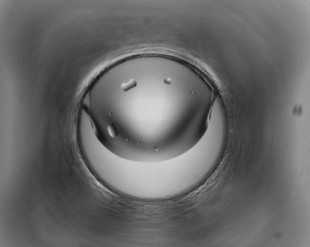 X0000099561504200806061528