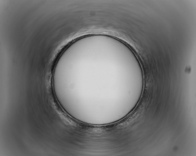 X0000099561507200806061528