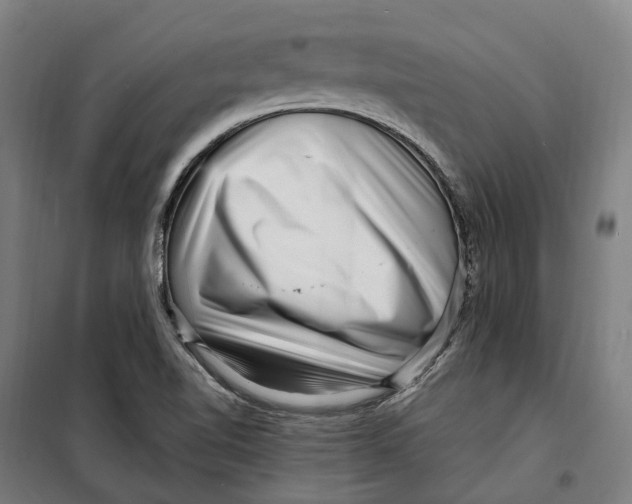 X0000099561510200806061528