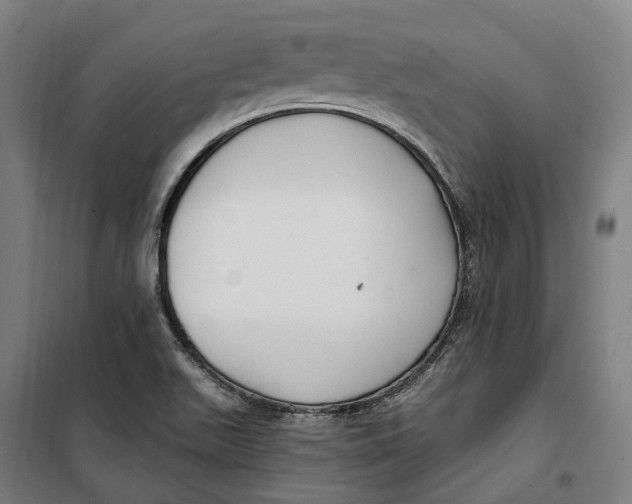 X0000099561511200806061528