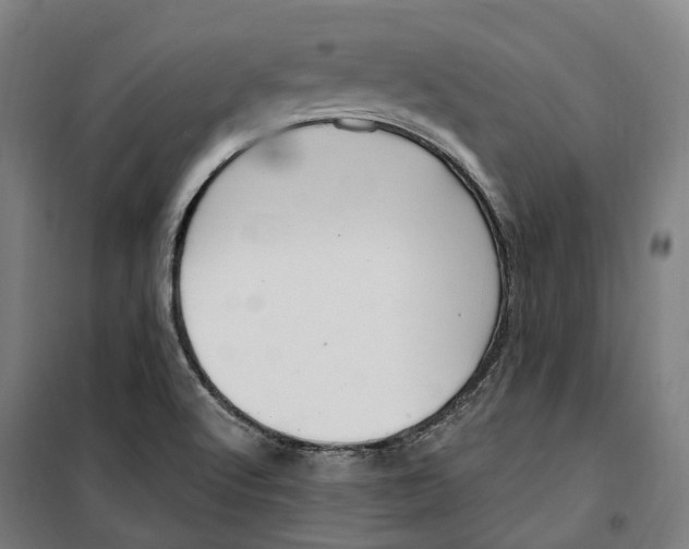 X0000099561512200806061528