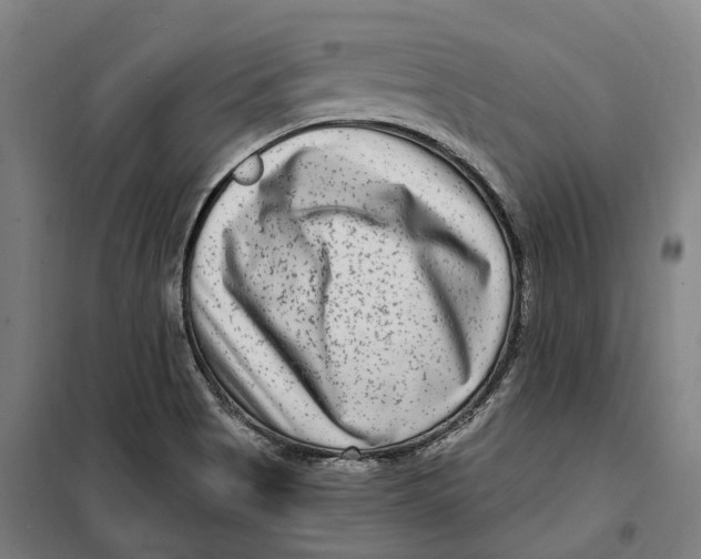 X0000099561513200806061528