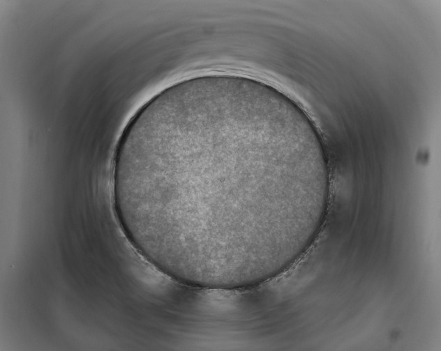 X0000099561514200806061528